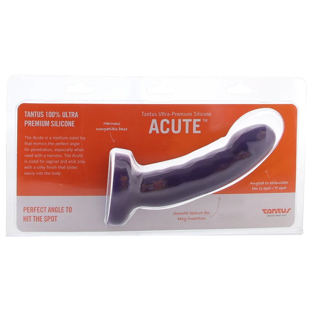 Acute Dildo in Midnight Purple