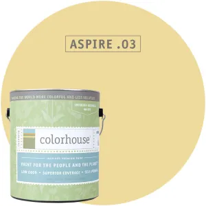 Paint by Colorhouse ASPIRE .03