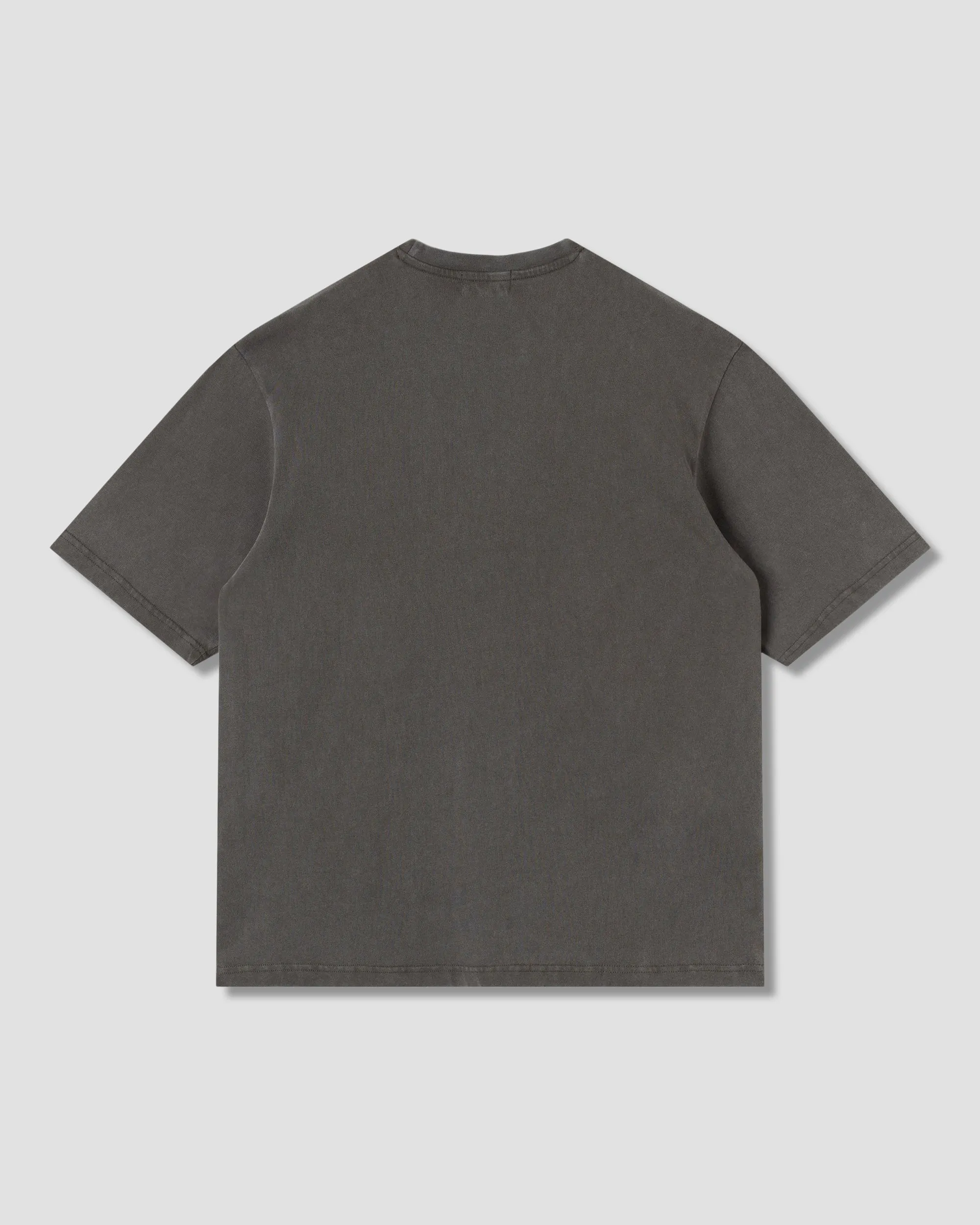 Ray Vine T-Shirt (Washed Black)