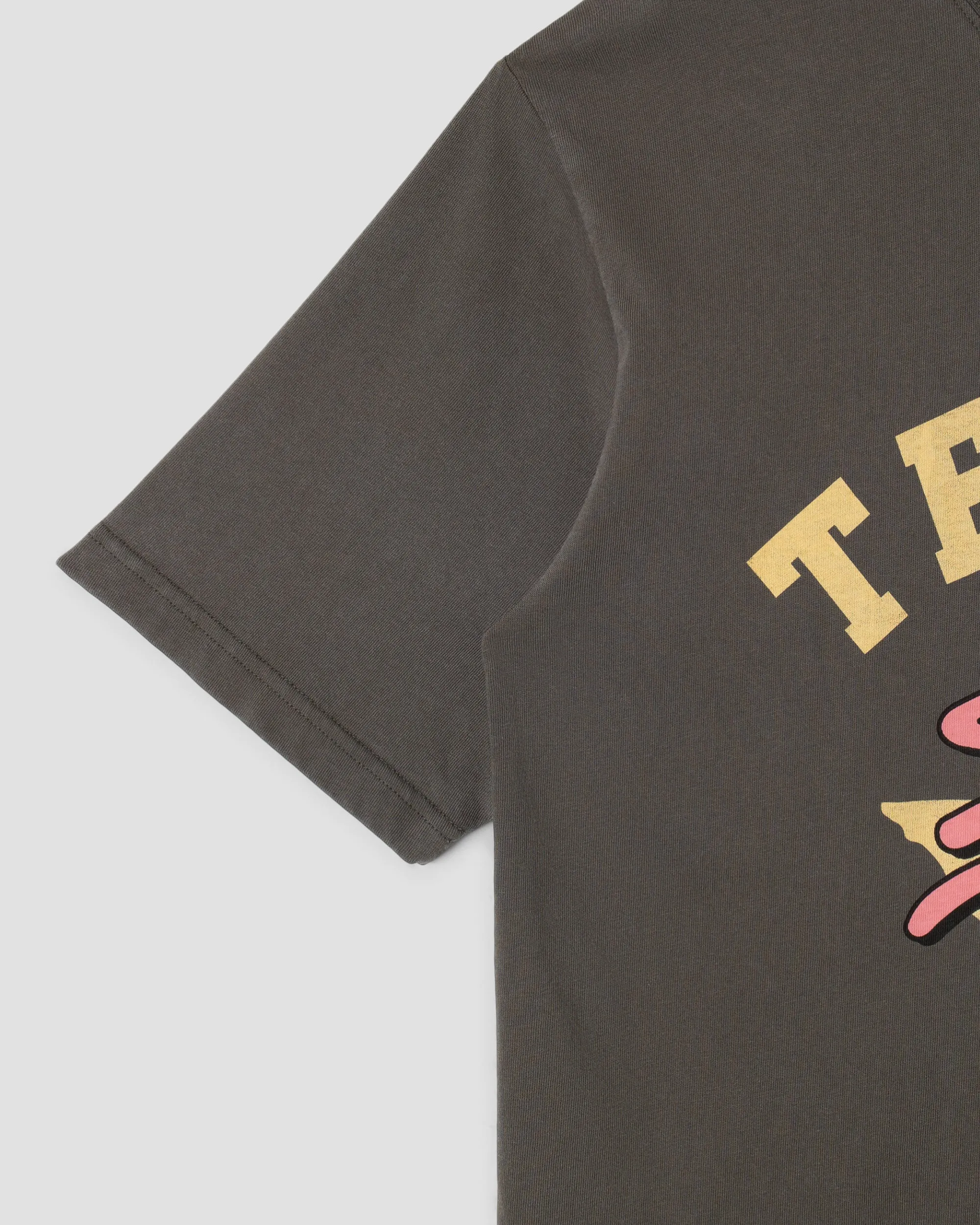 Solid State T-Shirt (Washed Black)